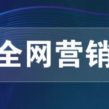 網(wǎng)絡(luò)推廣、網(wǎng)絡(luò)營(yíng)銷與網(wǎng)絡(luò)技術(shù)服務(wù) 構(gòu)建數(shù)字化時(shí)代的商業(yè)引擎